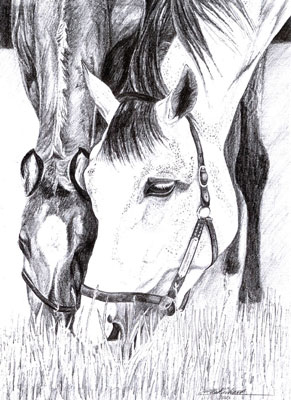 Horses_by_pixie_queen[1].jpg